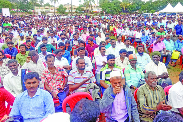 20 DBP 2 DL Mela