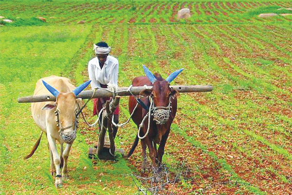 ಮನೋಲ್ಲಾಸ|ನಿಜವಾದ  ಕಲೆ ಯಾವುದು?