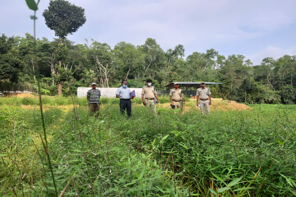 ಗಿಡ ಬೆಳೆದವರಿಗೆ ಪ್ರೋತ್ಸಾಹ ಧನ, 1.95 ಲಕ್ಷ ಗಿಡ ವಿತರಣೆಗೆ ಸಿದ್ಧ