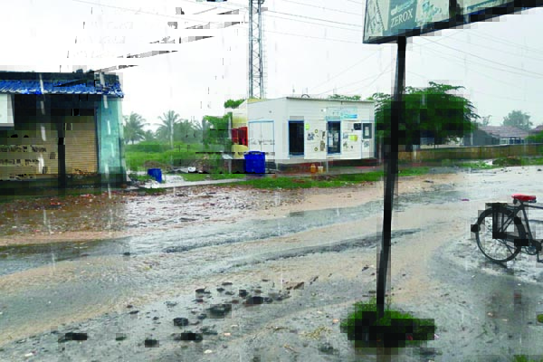 ಮಳೆಯ ಕಿರಿಕಿರಿ, ಹಾಳಾಗುತ್ತಿದೆ ತರಕಾರಿ