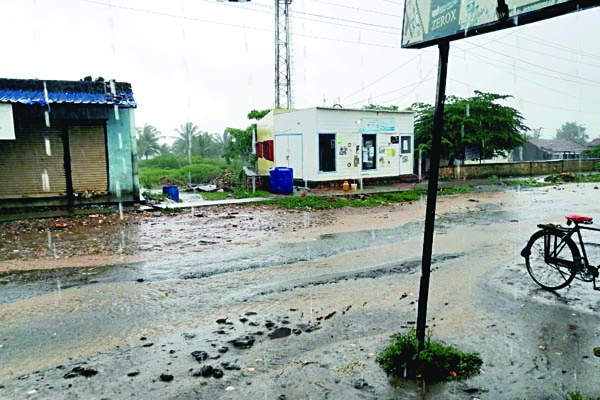 ಮಳೆಯ ಕಿರಿಕಿರಿ, ಹಾಳಾಗುತ್ತಿದೆ ತರಕಾರಿ