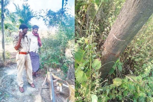 ರೈತರ ನಿದ್ದೆಗೆಡಿಸಿದ ಕಳ್ಳರು