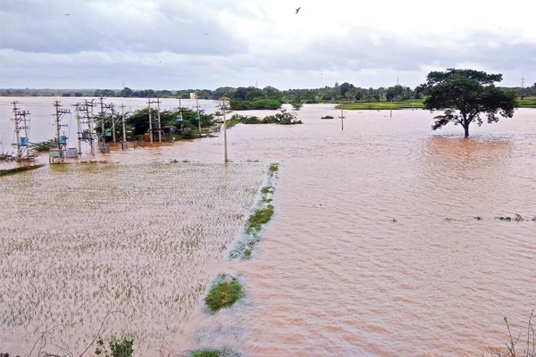 ಕೋಟ್ಯಂತರ ಲಾಸು ಪರಿಹಾರ ಅರೆಕಾಸು