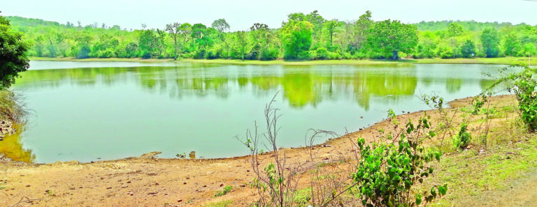 ವನ್ಯಜೀವಿ ಬೇಟೆಗಾರರ ಜಾಲ ಸಕ್ರಿಯ ಸಾಧ್ಯತೆ