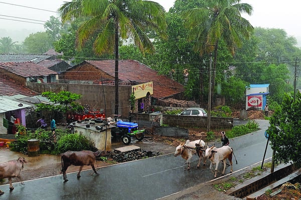 ರೈತರ ಮೊಗದಲ್ಲಿ ಮಂದಹಾಸ