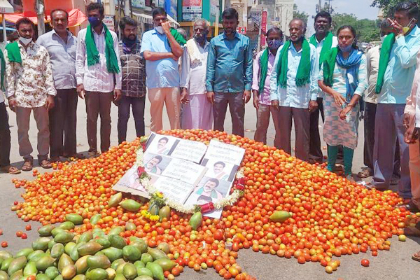 ಟೊಮ್ಯಾಟೊ ಮತ್ತು ಮಾವು ಸುರಿದು ಪ್ರತಿಭಟನೆ