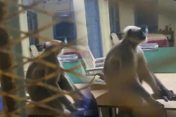 VIDEO: ಪೊಲೀಸರ ಜಾಗದಲ್ಲಿ ಕುಳಿತು ಅವರನ್ನೇ ಗದರಿಸುತ್ತಿರೋ ಕಪಿರಾಯ! ಸಿಬ್ಬಂದಿ ಸುಸ್ತೋ ಸುಸ್ತು