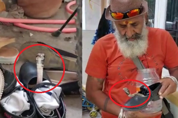 VIDEO| ಮನೆ ಹೊರಗಿಟ್ಟಿದ್ದ ಶಾಲಾ ಶೂಸ್​ ಧರಿಸಲು ಹೋದಾಗ ನಾಗರಹಾವು ಪ್ರತ್ಯಕ್ಷ: ಅಪಾಯದಿಂದ ಪಾರು
