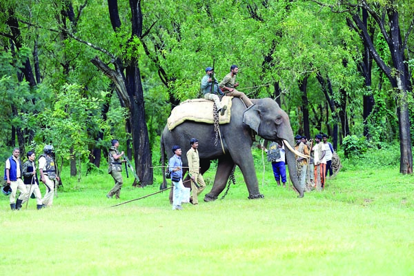 ಆನೆಗೂ ಸಿಗದ ಚಾಲಾಕಿ ಚಿರತೆ!