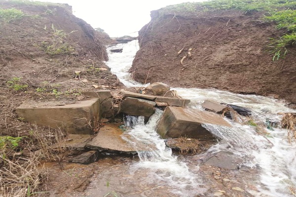 ಅರಶಿಣಗೇರಿ ಕೆರೆ ಒಡ್ಡು ಒಡೆದು ಬೆಳೆ ನಾಶ