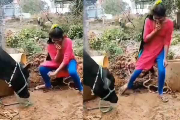 VIDEO| ಎಮ್ಮೆ ಮುಂದೆ ವಿಚಿತ್ರವಾಗಿ ಡಾನ್ಸ್​ ಮಾಡಿದ ಹುಡುಗಿ: ಮುಂದೇನಾಯ್ತು ನೀವೇ ನೋಡಿ…