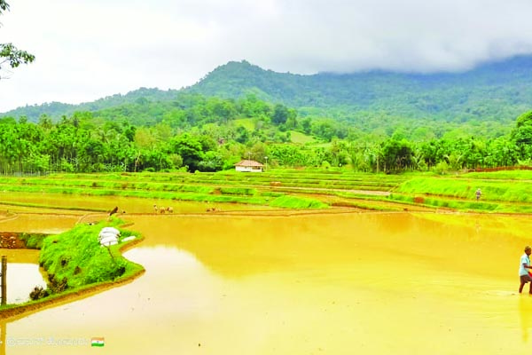 ಗ್ರಾಮೀಣ ಭಾಗದಲ್ಲಿ ಭೂ ಒತ್ತುವರಿ