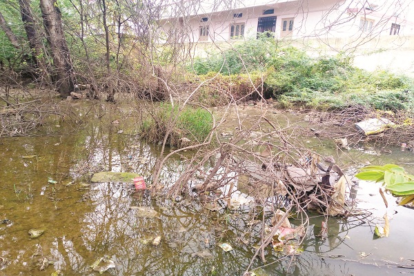 ರೊಣದಲ್ಲೀಗ ರೋಗ ಭೀತಿ