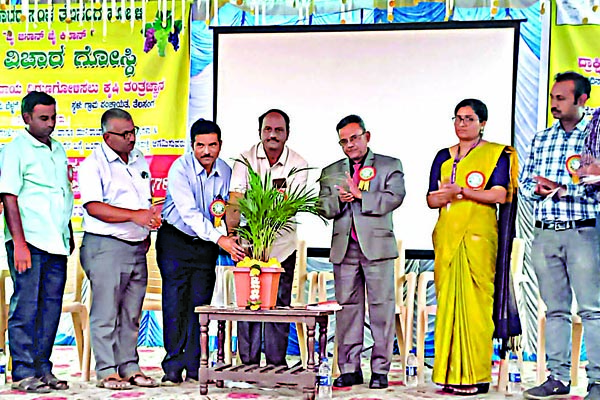 ಆರ್ಥಿಕತೆಯ ಬೆನ್ನೆಲುಬು ದ್ರಾಕ್ಷಿ ಬೆಳೆಗಾರರು