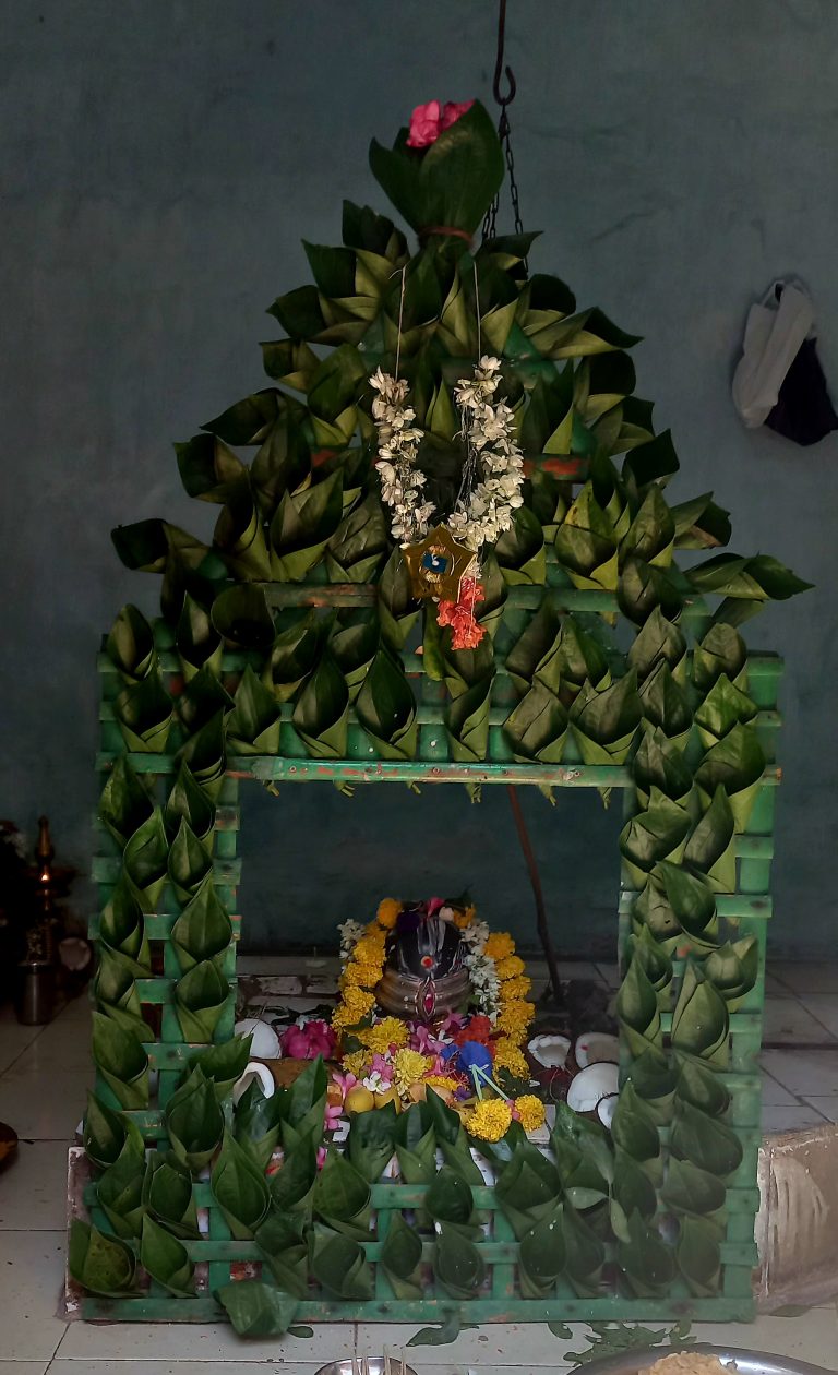 ಸೋಮವಾರ ಅಮಾವಾಸ್ಯೆ; ಸಿದ್ದಾಪುರದಲ್ಲಿ ಕಾಶಿ ವಿಶ್ವನಾಥನಿಗೆ ವಿಶೇಷ ಪೂಜೆ