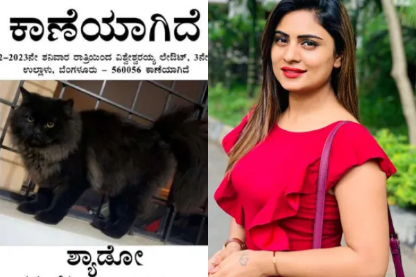 deepika das asks fans to find her cat reward price is 15 thousand rupees