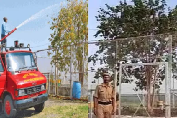 A tree in the middle of nowhere in MP has a 24 hour armed guard heres why