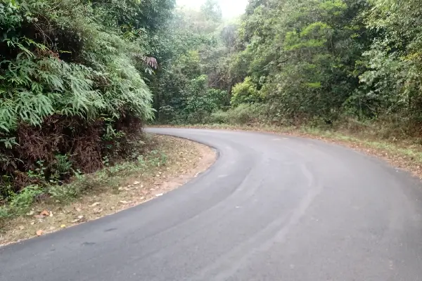 Dangerous curves in road
