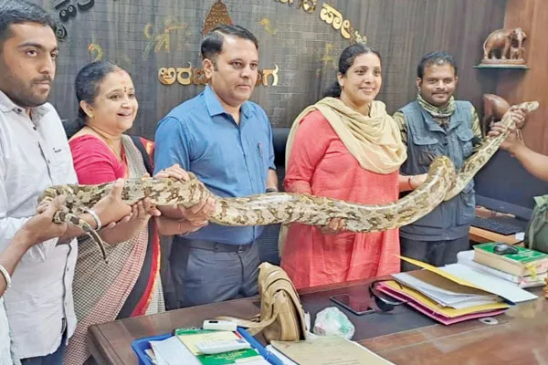 Python in Bengaluru