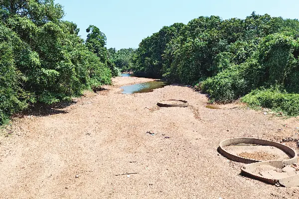 nandini river