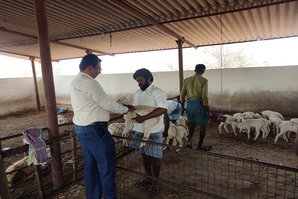 ಸಾಕುಪ್ರಾಣಿಗಳ ರೋಗ ತಡೆಗೆ ಮದ್ದು