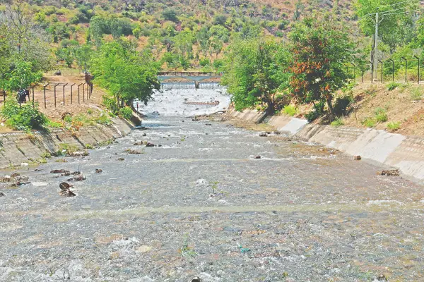 Horticulture, Crops, VV Sagar, Reservoir, Agriculture,