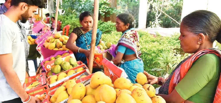 ಮರೆಯಾದ ಮಾವು ಮೇಳ