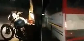 bus
