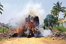 ವಿದ್ಯುತ್ ತಂತಿ ತಗುಲಿ ಹುಲ್ಲು ಭಸ್ಮ