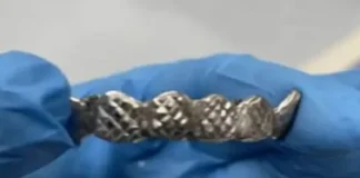 teeth