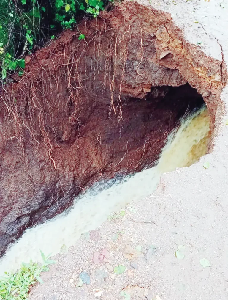 ತುಮರಿಕೊಪ್ಪದ ಹಾಲಗೌಡ್ತಿ ಕೆರೆ ಒಡೆದು ನೀರು ಪೋಲು