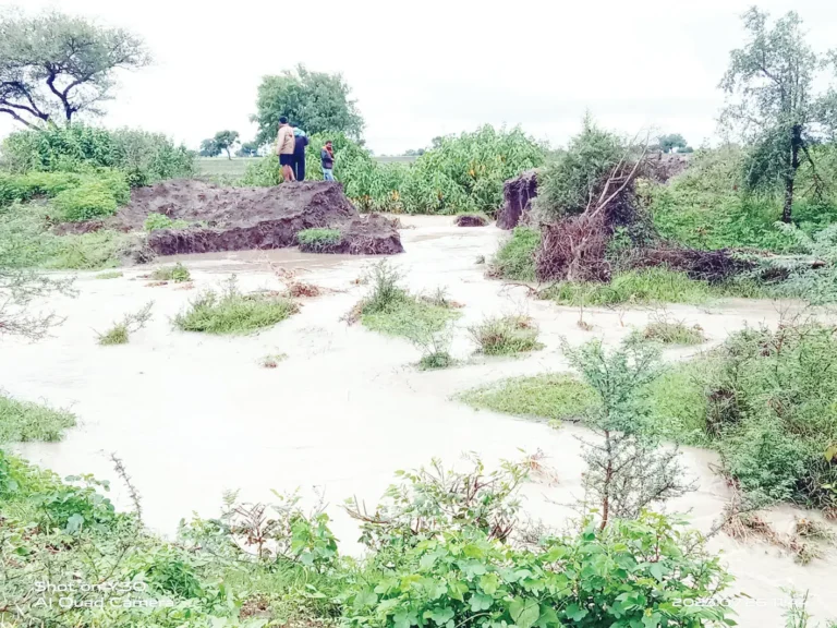 ಅಲ್ಲಾಪೂರ ಕೆರೆ ಒಡೆಯುವ ಭೀತಿ!