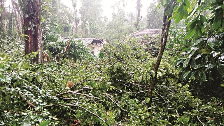 ಮನೆ ಮೇಲೆ ಭಾರಿ ಗಾತ್ರದ ಮರ ಬಿದ್ದು ಅಪಾರ ಹಾನಿ