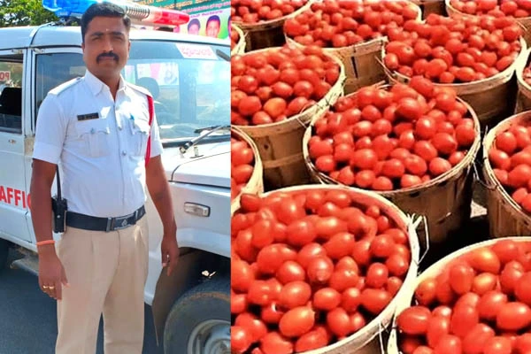 Hassan Police Tomato Profit