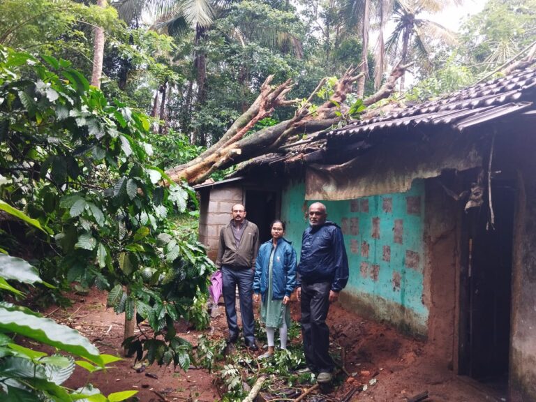ವಾಸದ ಮನೆ ಮೇಲೆ ಬಿದ್ದ ಮರ