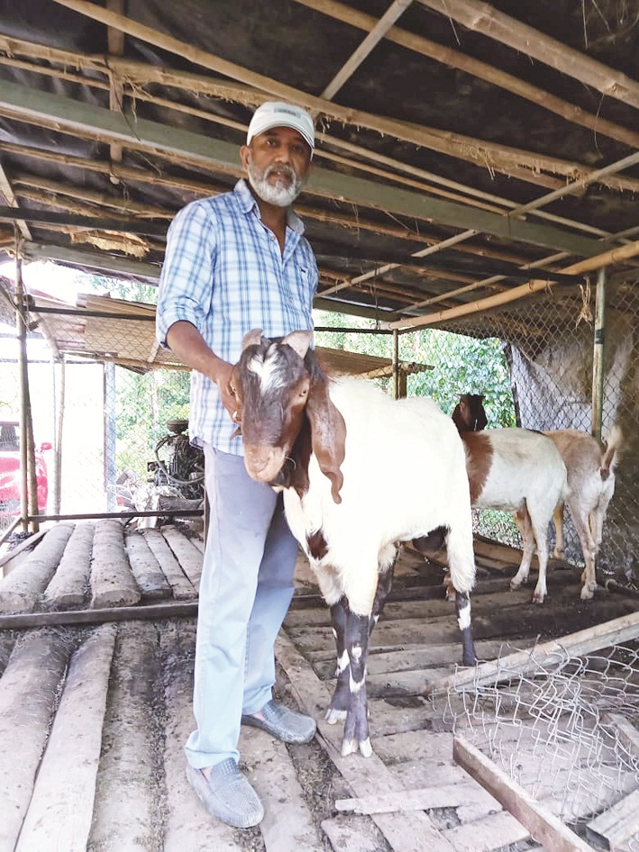 ಸಮಗ್ರ ಕೃಷಿ ತಂದುಕೊಟ್ಟ ಲಾಭ