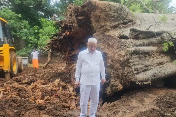 2 ಸಾವಿರ ವರ್ಷ ಇತಿಹಾಸವುಳ್ಳ ಹುಣಸೆ ಮರ ಧರೆಗೆ; ಅಜ್ಜಂಪೀರ ಖಾದ್ರಿ ಬೇಸರ