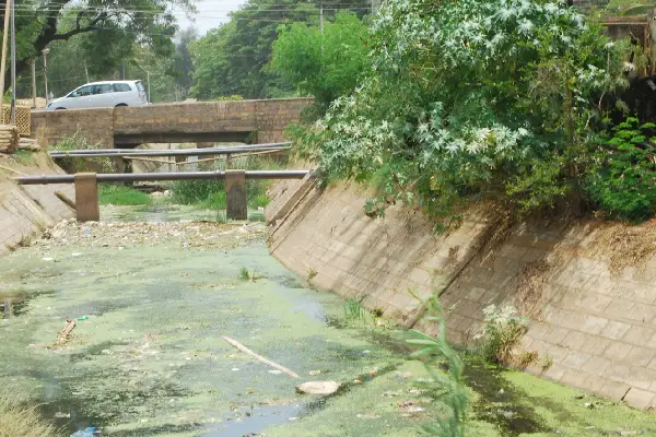 ವಿವಿ ಸಾಗರ ನಾಲೆಗೆ ಕೊಳಚೆ ನೀರು