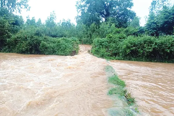 ಗದ್ದೆಗೆ ನುಗ್ಗಿದ ಕೆರೆ ನೀರು