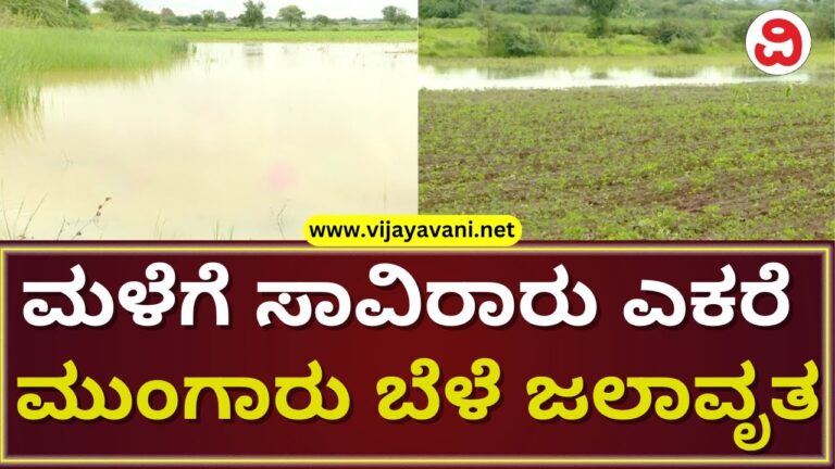 Heavy Rain Destroy More Than 1000 Acres Crops In Bidar | ಬೀದರ್​ನಲ್ಲಿ ಮಳೆಯ ಆರ್ಭಟಕ್ಕೆ ಮುಂಗಾರು ಬೆಳೆ ನಾಶ