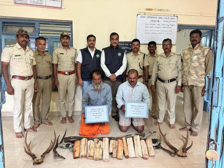 sandal wood smuggling 2 accused arrested