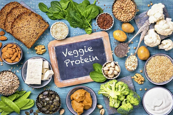Vegetarian Protein Diet