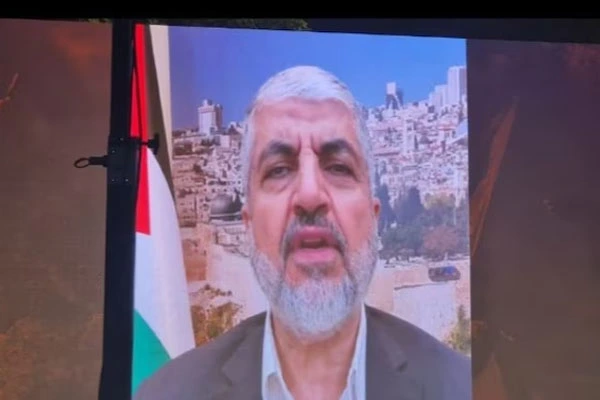 Hamas Terrorist