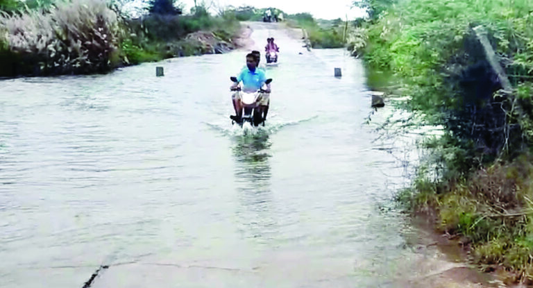 ಖುಷ್ಕಿ ಜಮೀನಿಗೆ ವರವಾದ ಮಳೆ