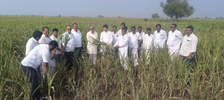 ಎಚ್‌ಡಿಕೆ ಮೂಲಕ ಸರ್ಕಾರಕ್ಕೆ ವರದಿ