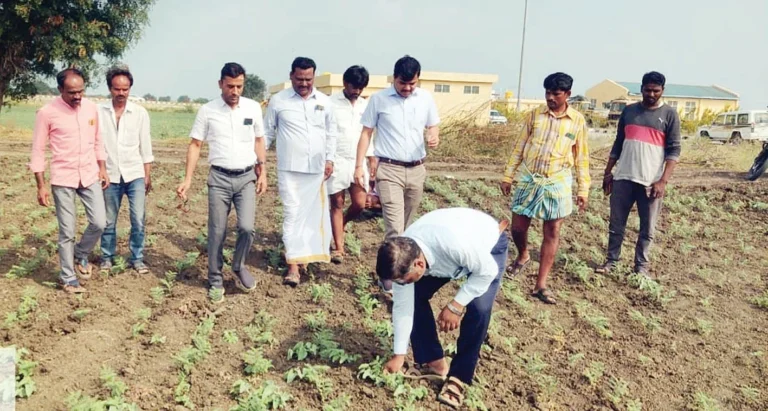 ರೋಗ ಬಾಧಿತ ಬೆಳೆಗೆ ಸಲಹೆ