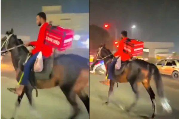 Zomato Boy Delivered Order On Horse Video Viral
