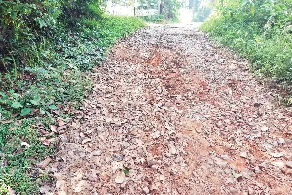 Sajankadi road